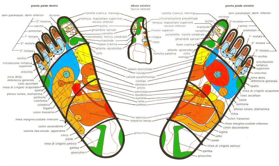 Studio di podologia Voghera, terapie riabilitazioni per i piedi e unghie e Riflessologia Plantare.